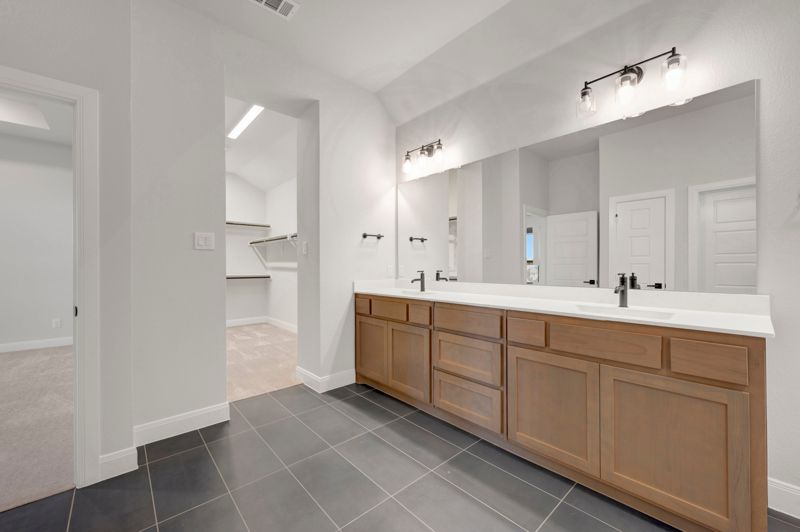 Owner's Bath