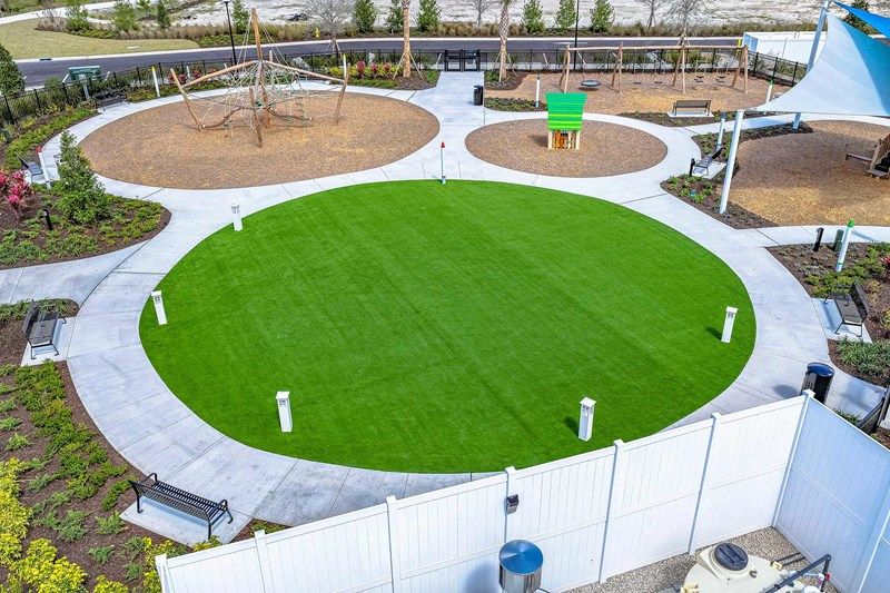 Palmera at Wellen Park - Park