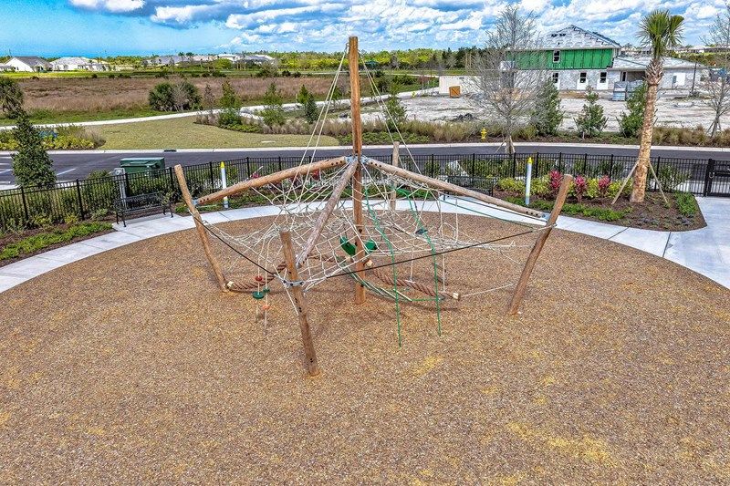 Palmera at Wellen Park - Park