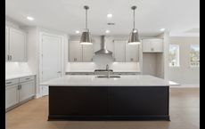 Crescent Pointe at Great Sky: Canton, Georgia - David Weekley Homes