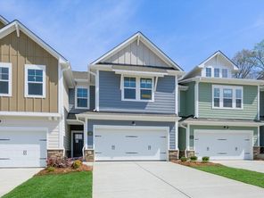 258 Alluvium Lane (Mecklenburg II)