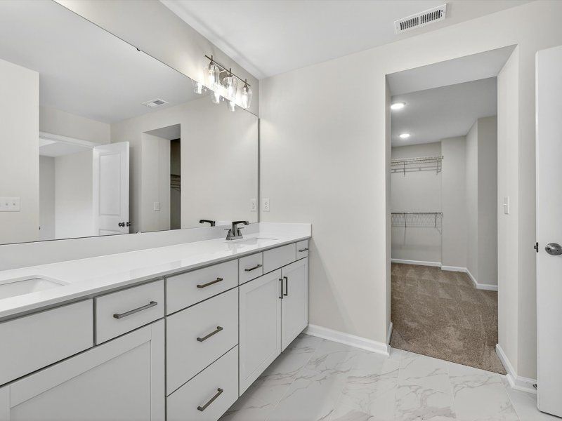 Owner's Bath