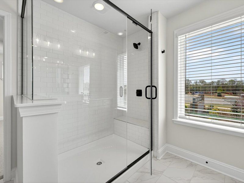 Owner's Bath