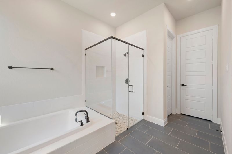 Owner's Bath