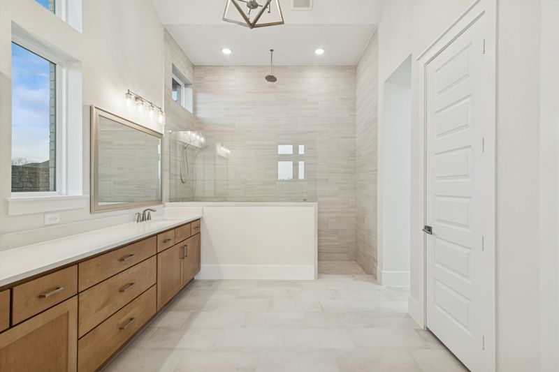Owner's Bath