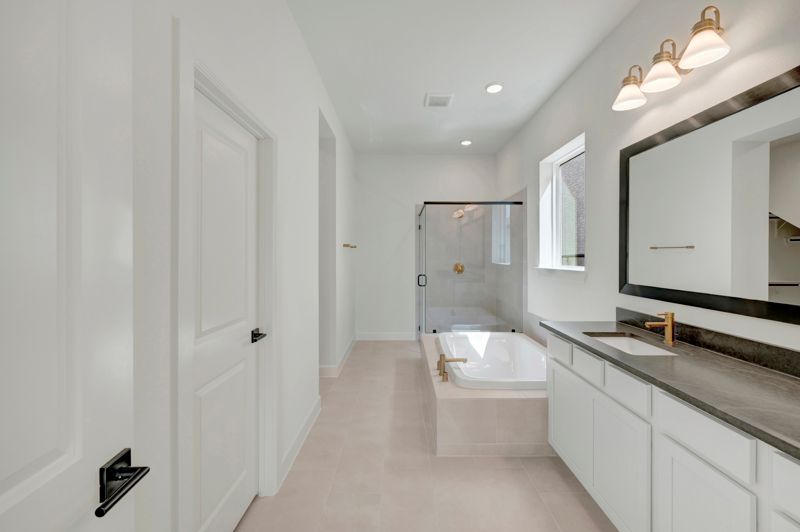 Owner's Bath