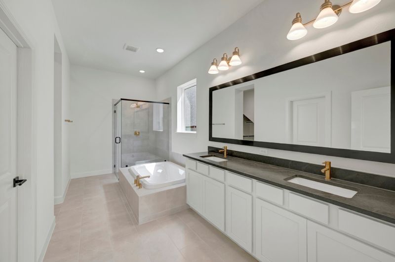 Owner's Bath