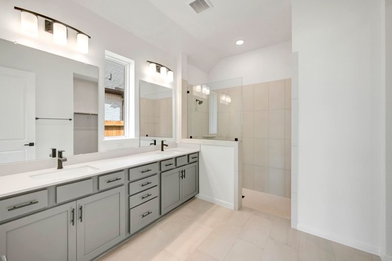 Owner's Bath