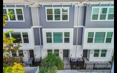 Towns at Union: Saint Petersburg, Florida - David Weekley Homes