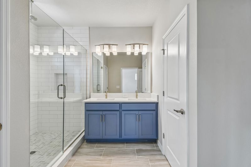Owner's Bath