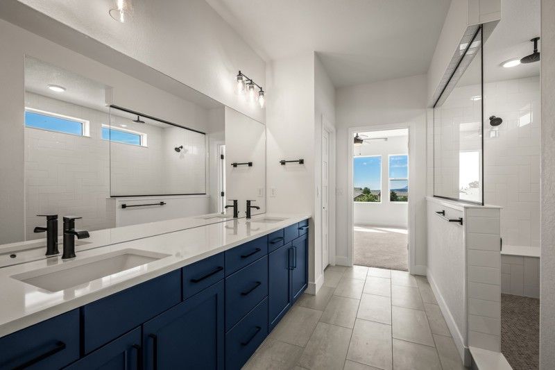 Owner's Bath