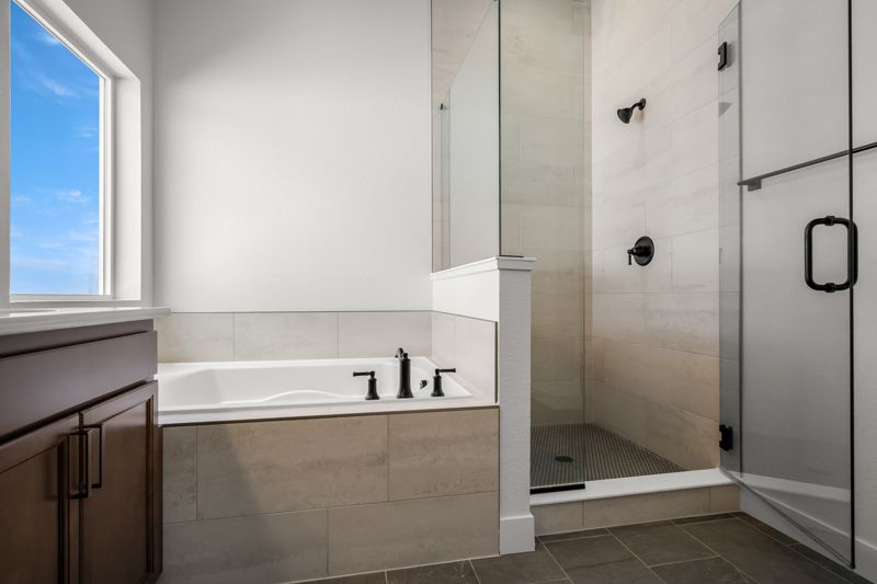 Owner's Bath