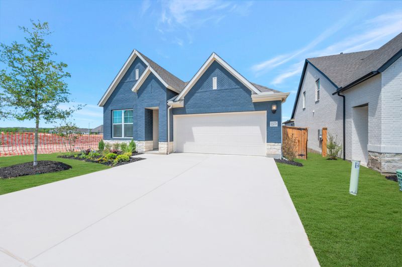 13271 Hanging Willow