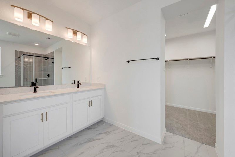 Owner's Bath