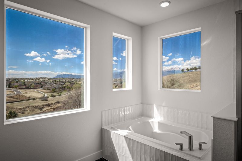 Owner's Bath