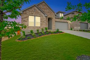 1827 Lost Cedar (Cherry Blossom)