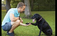 Southside Hills – Manor Series: Rockwall, Texas - David Weekley Homes