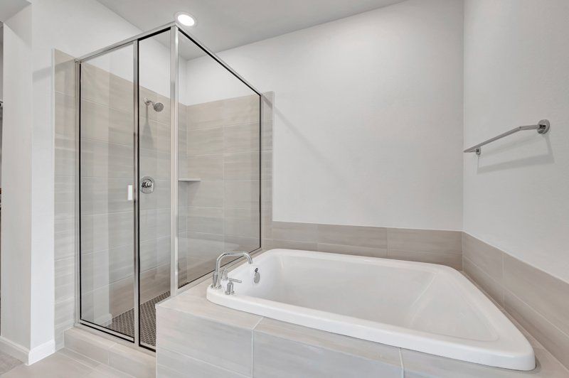 Owner's Bath