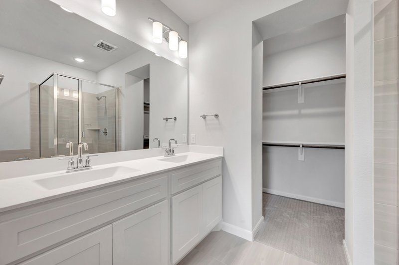 Owner's Bath