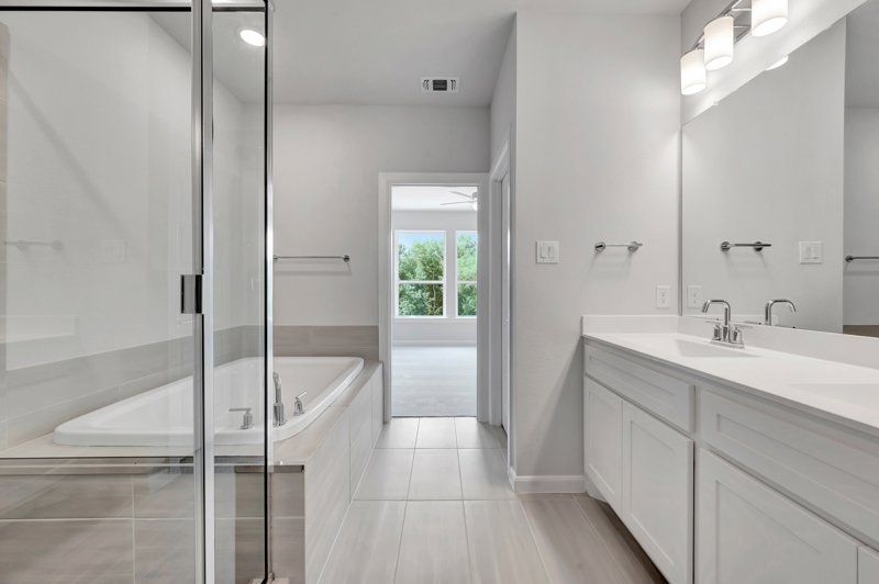 Owner's Bath