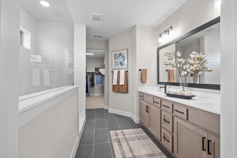 Owner's Bath