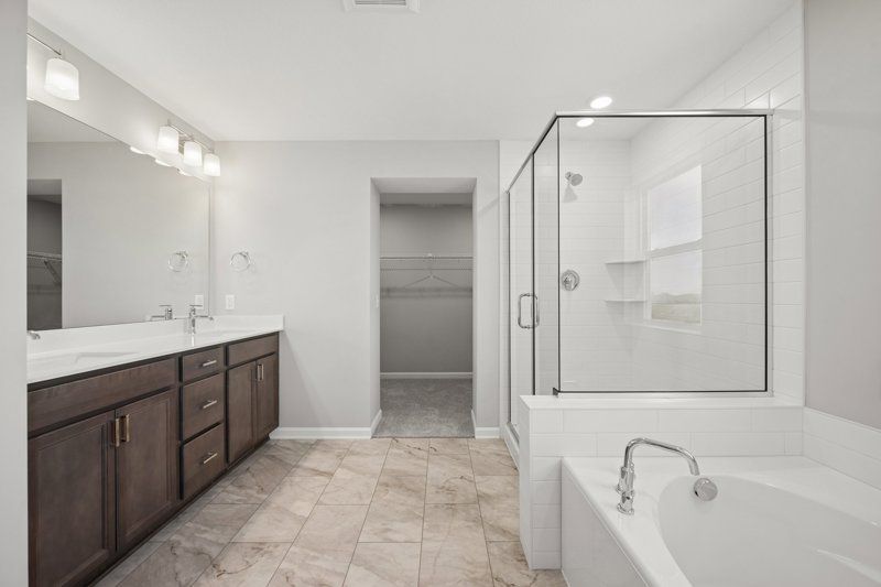 Owner's Bath
