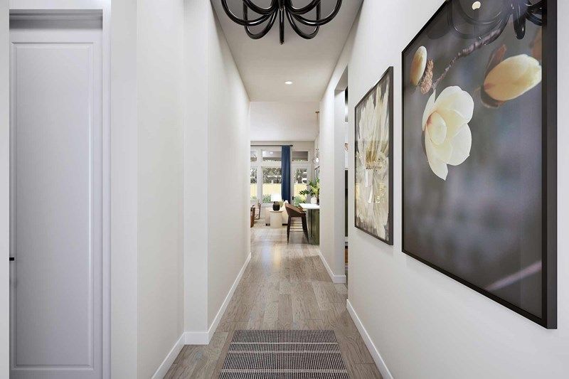 The Brownsville - Entry