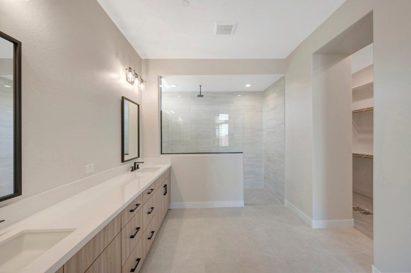 Owner's Bath