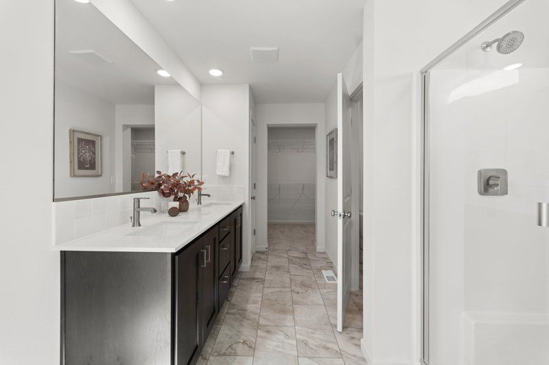 Owner's Bath