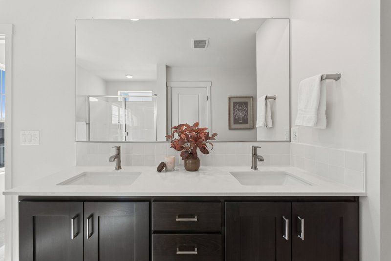 Owner's Bath
