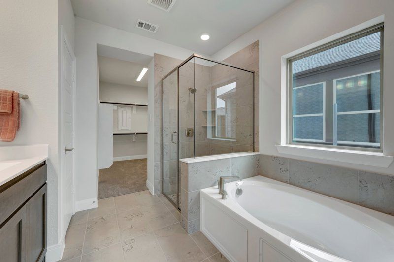 Owner's Bath