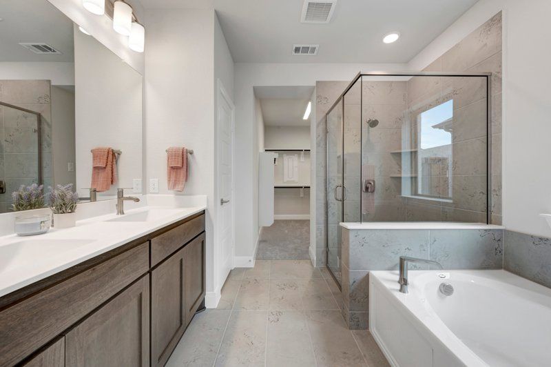Owner's Bath