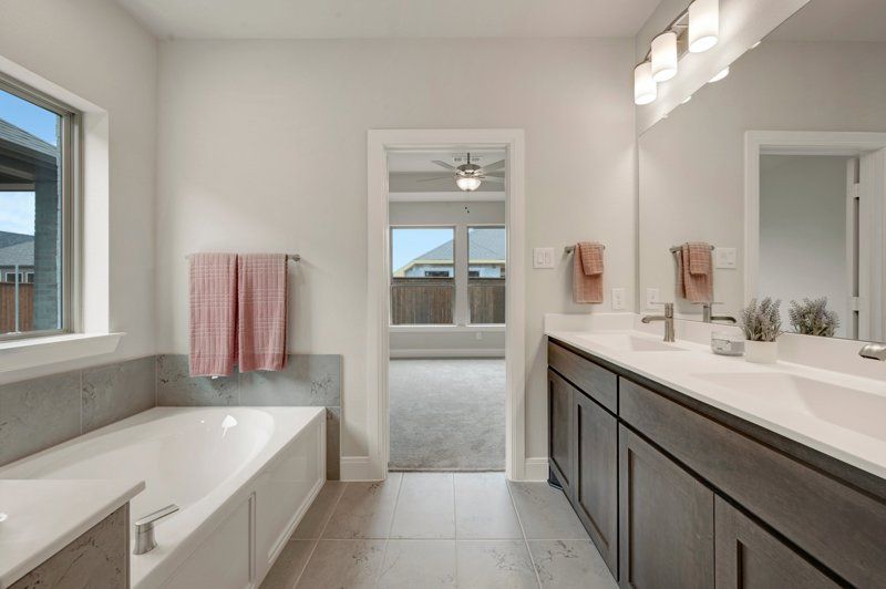 Owner's Bath