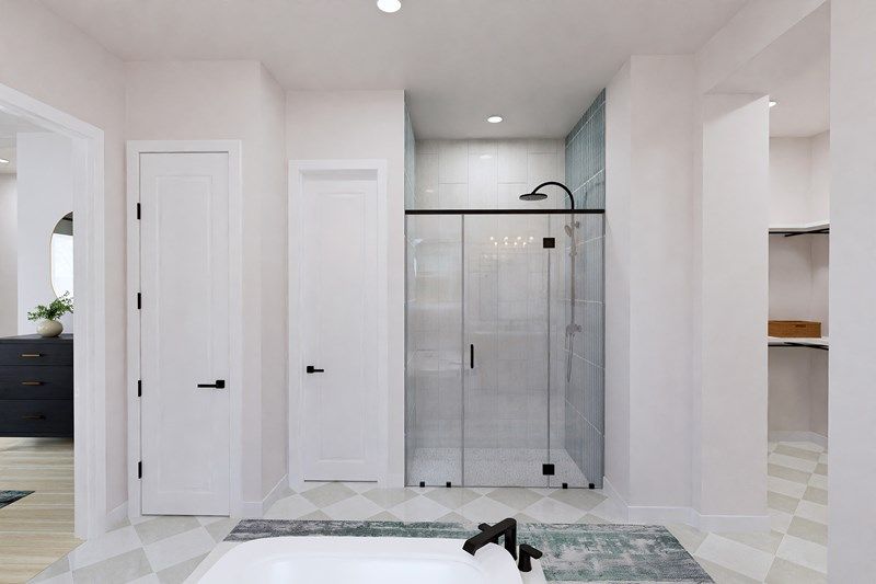 Owner's Bath