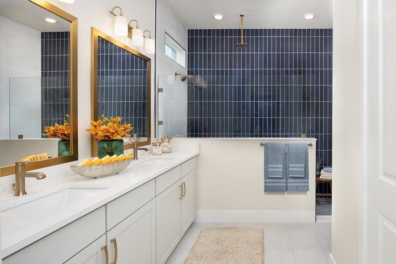 The Brugman - Owner's Bath