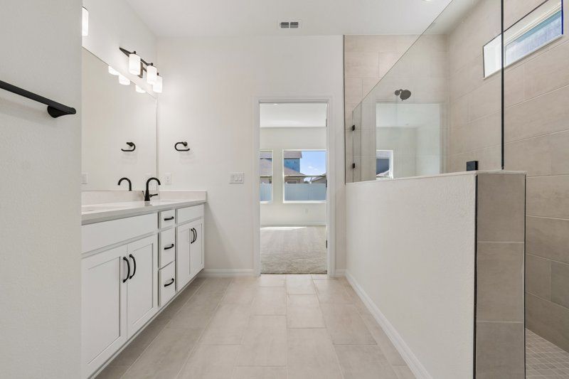 Owner's Bath