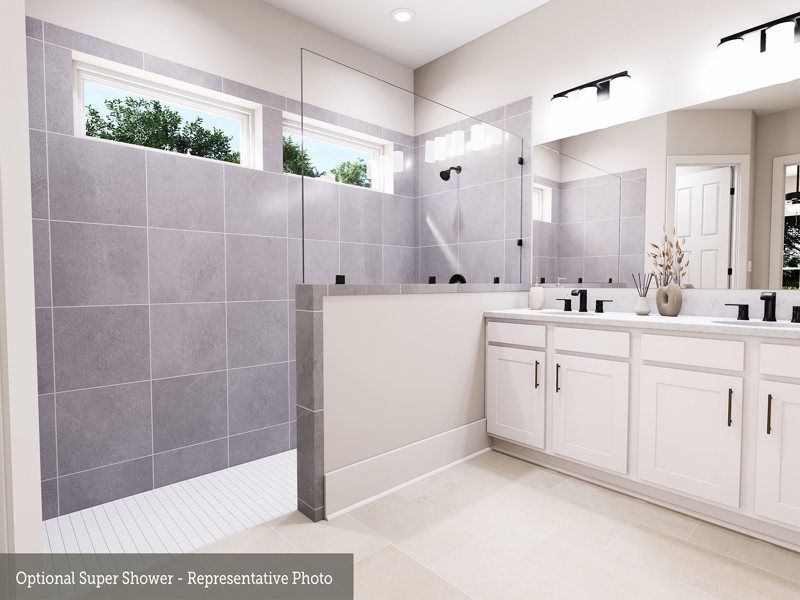 Owner's Bath