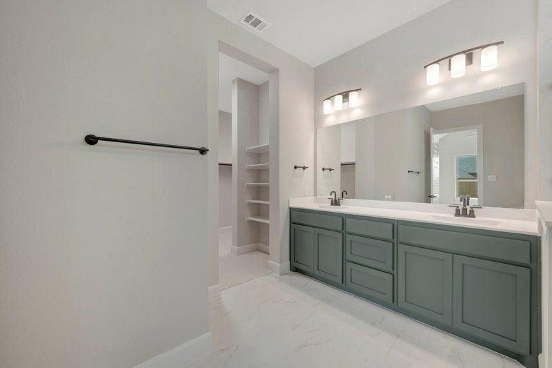 Owner's Bath