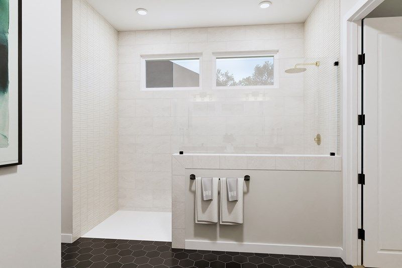 The Sentinel - Owner's Bath