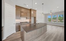 Two Step Farm - Cottages Row Collection: Montgomery, Texas - David Weekley Homes