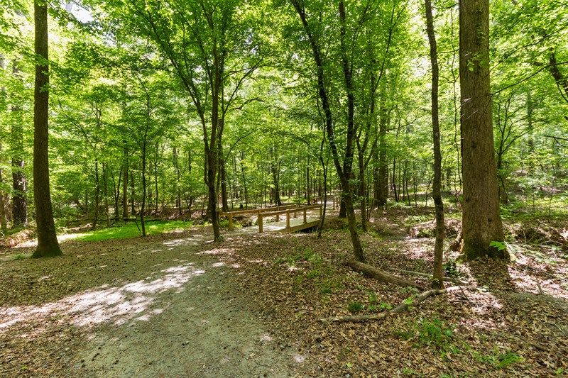 Lewis Park Trails