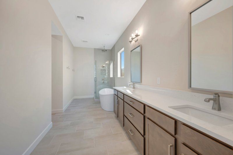 Owner's Bath