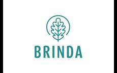 Brinda: Plymouth, Minnesota - David Weekley Homes