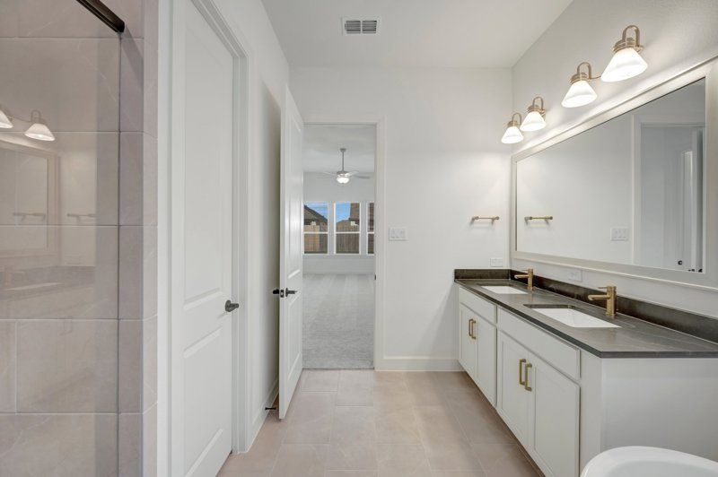Owner's Bath