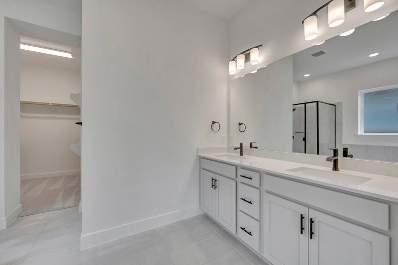 Owner's Bath