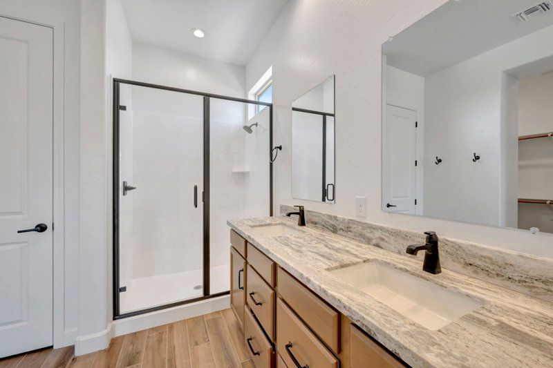 Owner's Bath