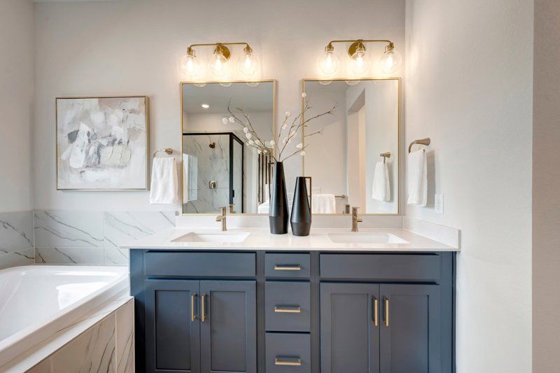 Owner's Bath