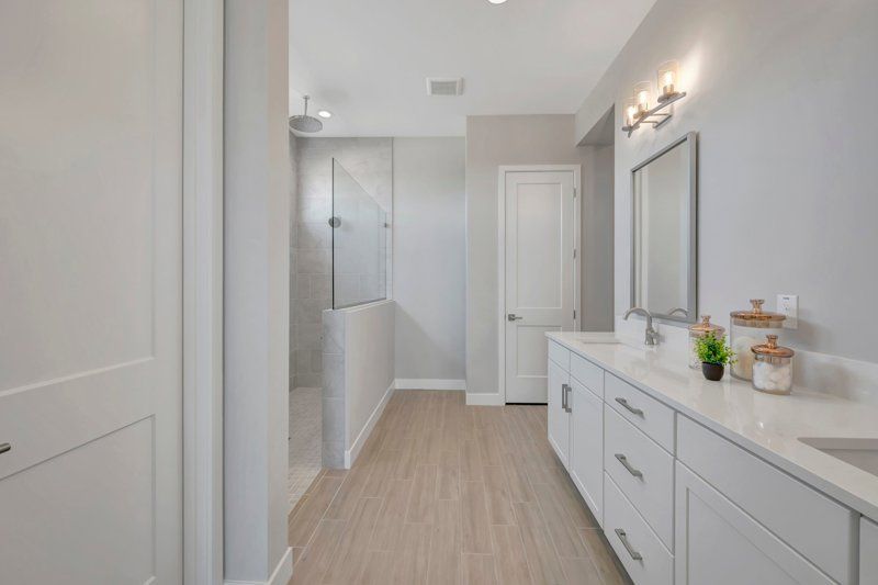 Owner's Bath