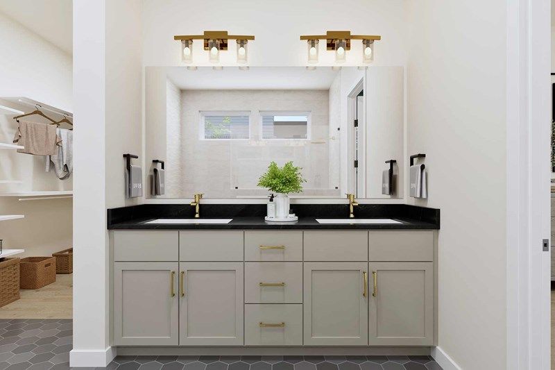 The Braswell - Owner's Bath