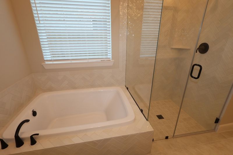Owner's Bath